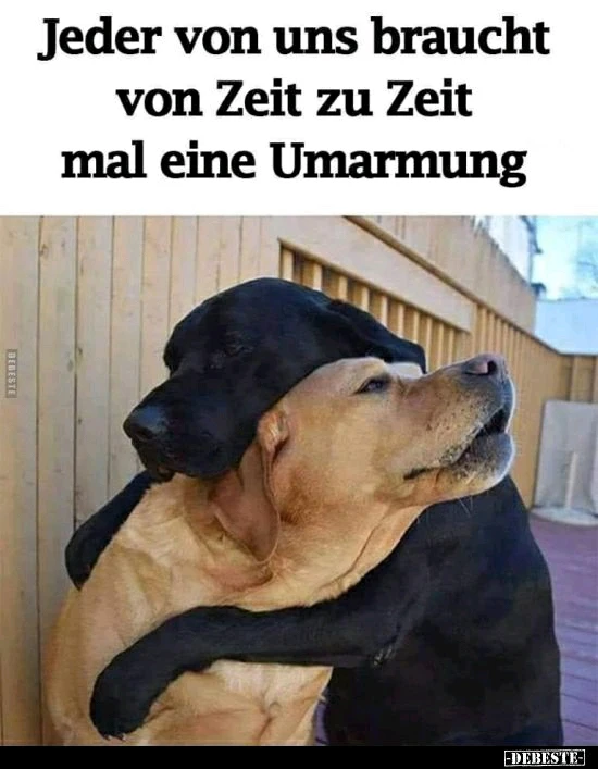 Bild hochgeladen von Johannes