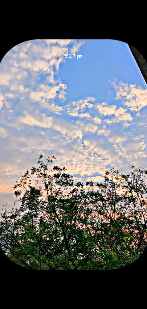 Image uploaded by Mr shah