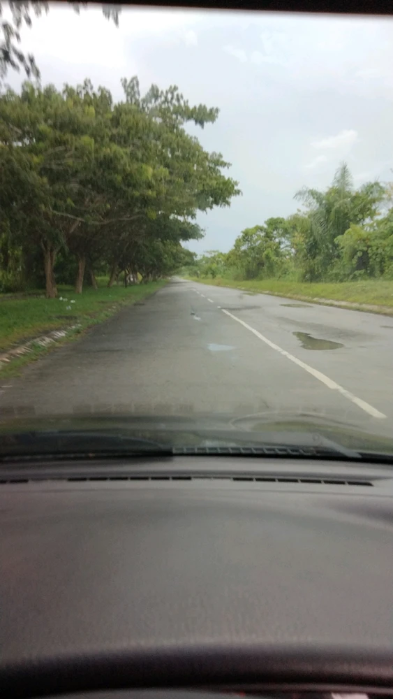 Gambar diunggah oleh Rick