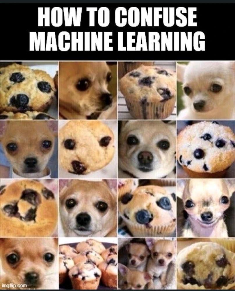 由Anna上传的图片