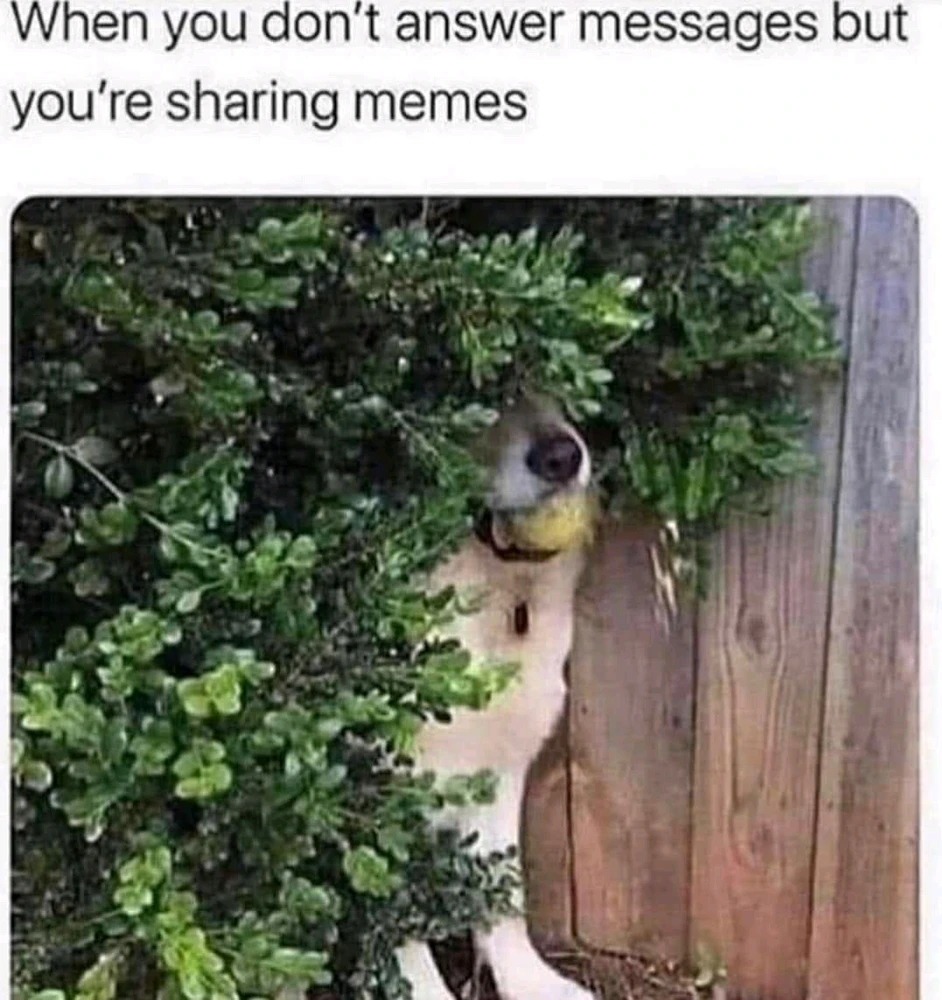 Image uploaded by Austin