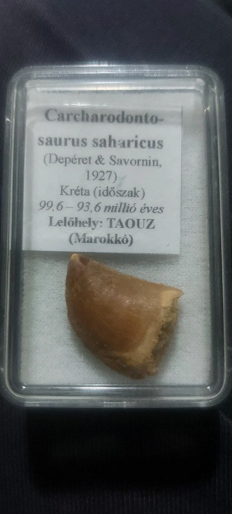 Image uploaded by Annamari