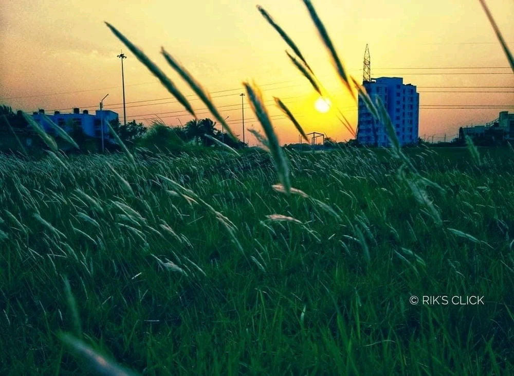Image uploaded by Souvik