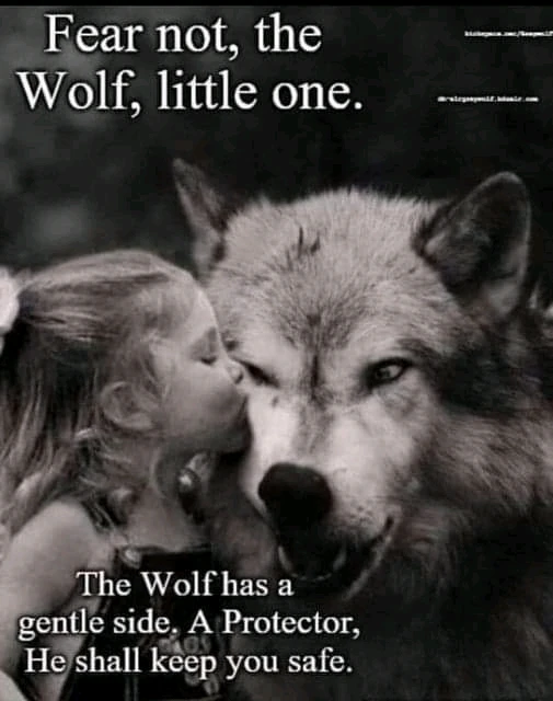 Gambar diunggah dening Danny