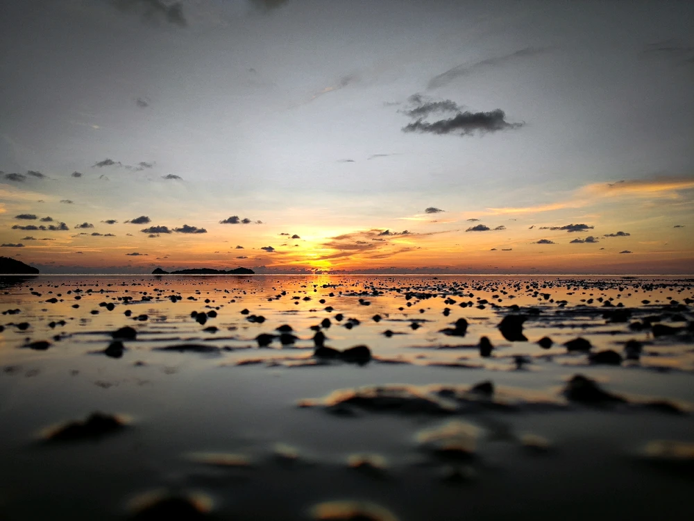 Image uploaded by Cencen