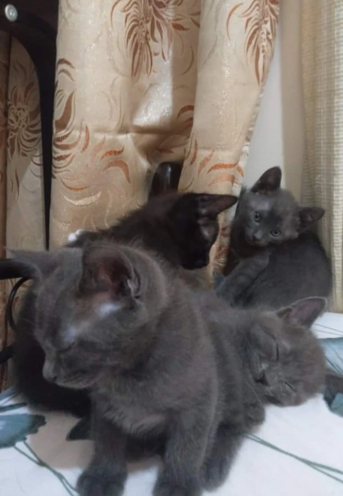 Image uploaded by Nicole