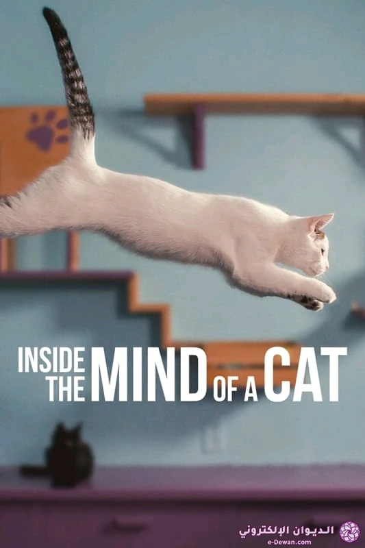 Gambar diunggah dening abdullah ahmed