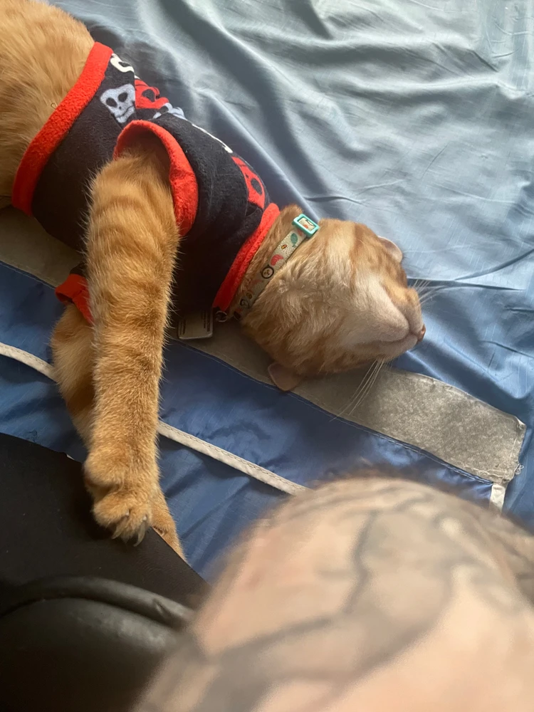 Image uploaded by Bryce