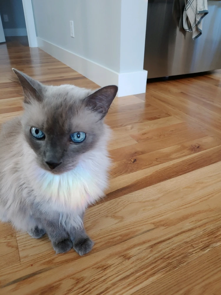 Image uploaded by Ty