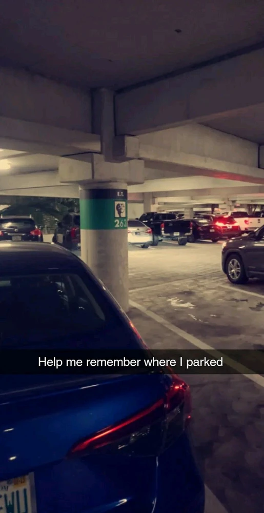 Image uploaded by Moisès