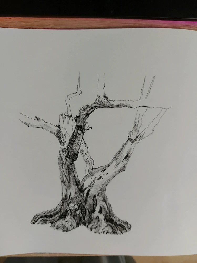 Image uploaded by Aoi Tallari