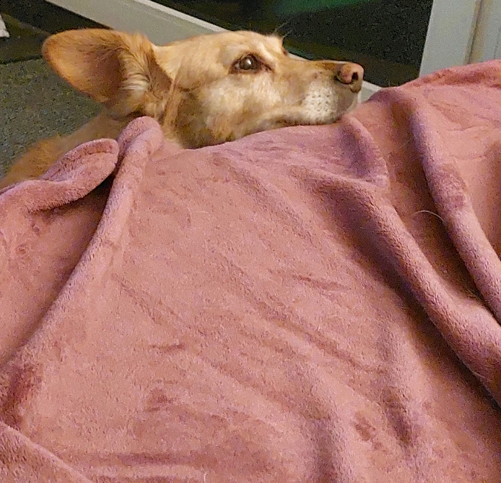 Bild hochgeladen von Chris