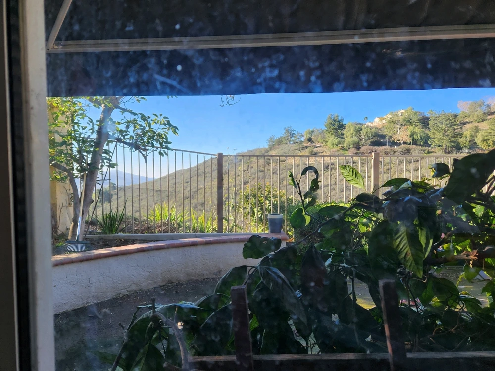 Image uploaded by Cammy