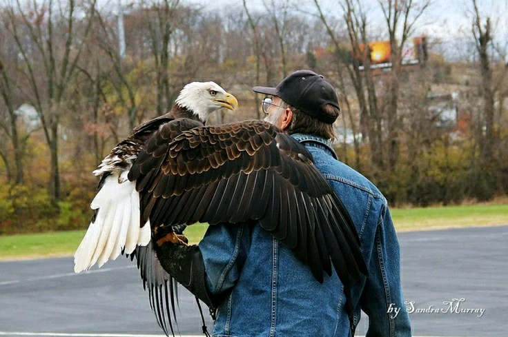 Bild hochgeladen von Johannes