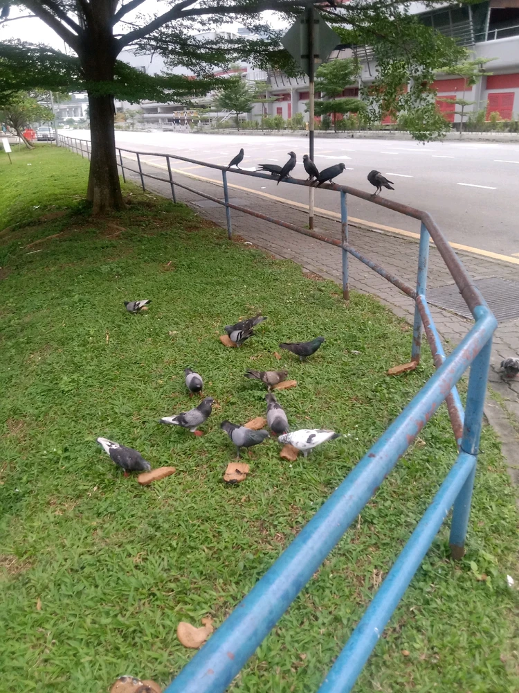 Image uploaded by Nazim