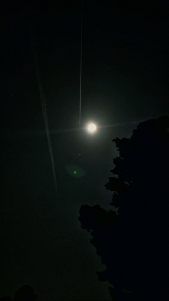 Image uploaded by LAm