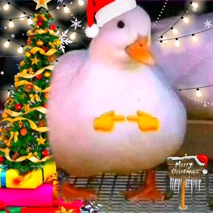 Imagen subida por Danae