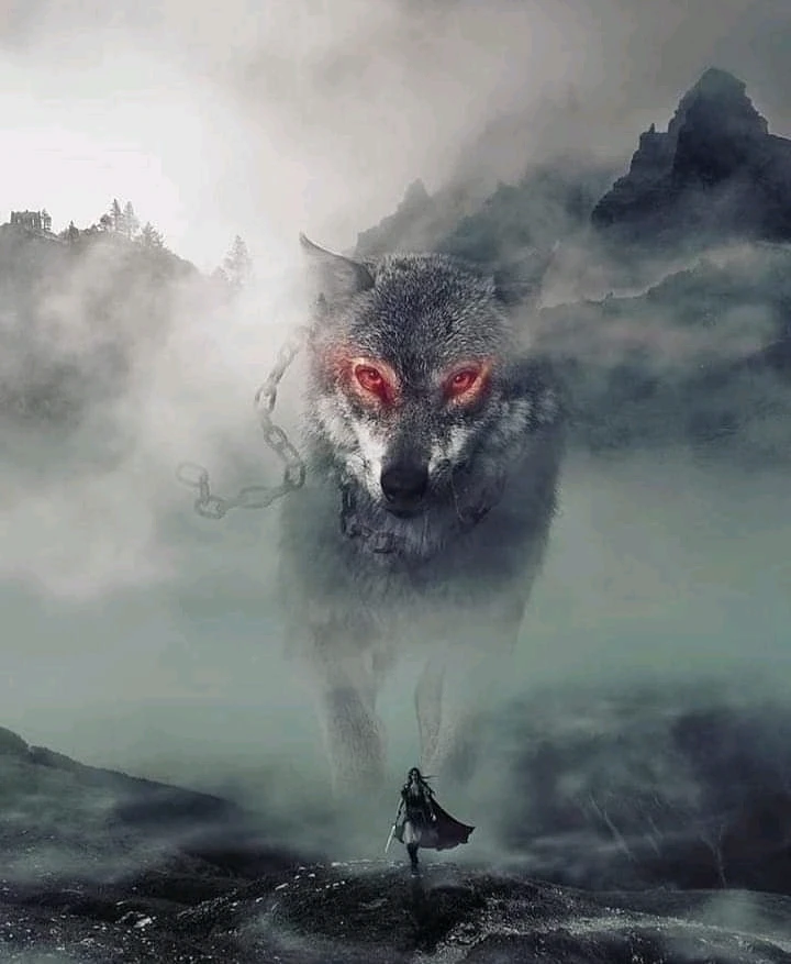 Image uploaded by Danny