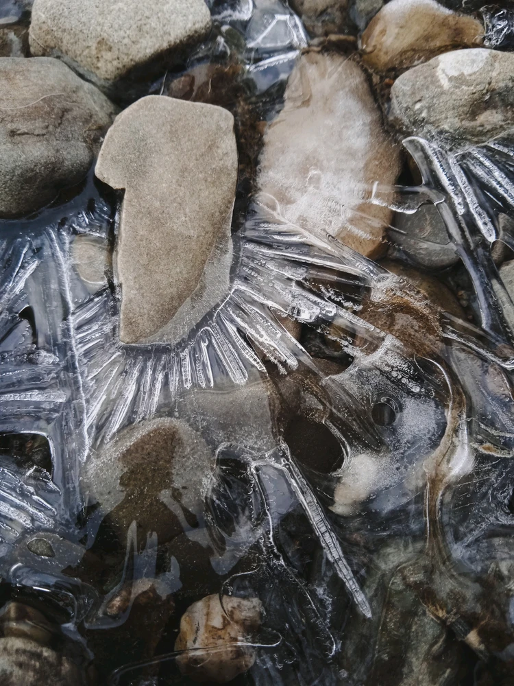 Image uploaded by Arafel