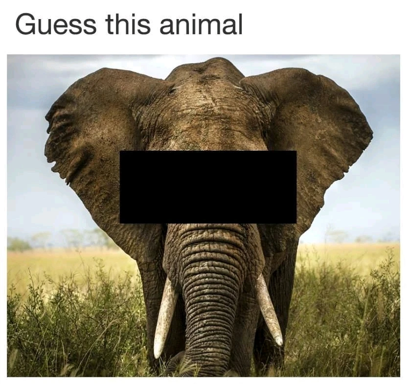 Mufananidzo wakaiswa na Yao