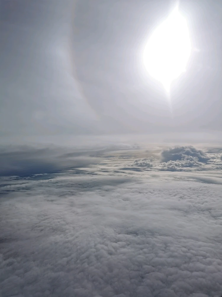 Image uploaded by Jas