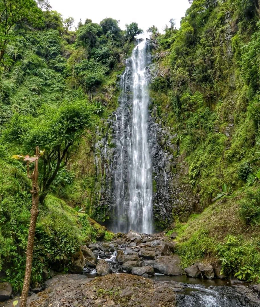 Image uploaded by Benjamin