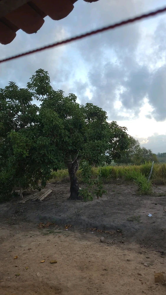 Image uploaded by Dayane