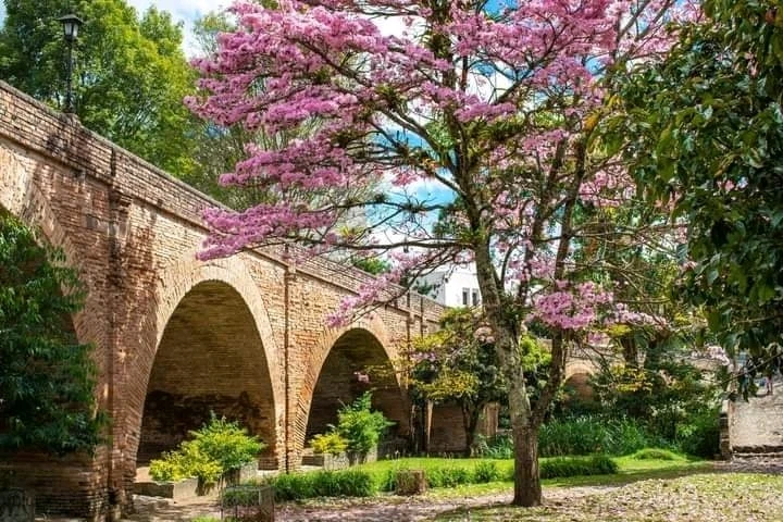 Imagen subida por Jonathan