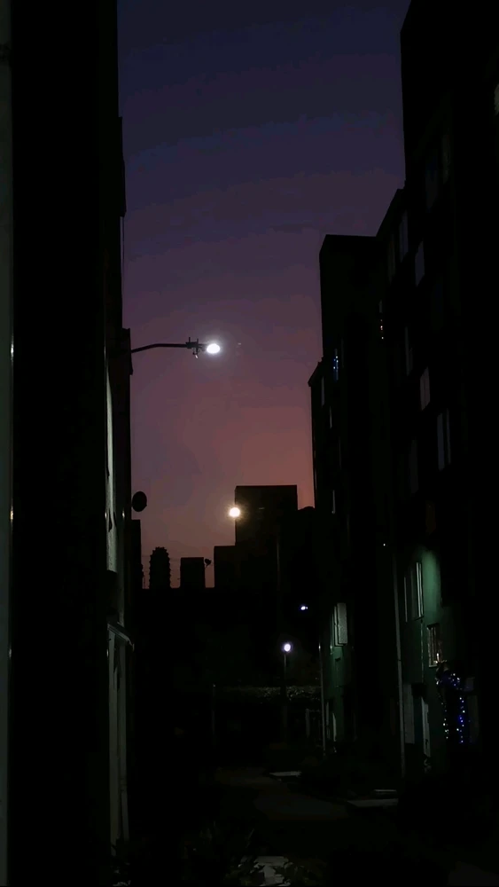 Lauren님이 올린 사진