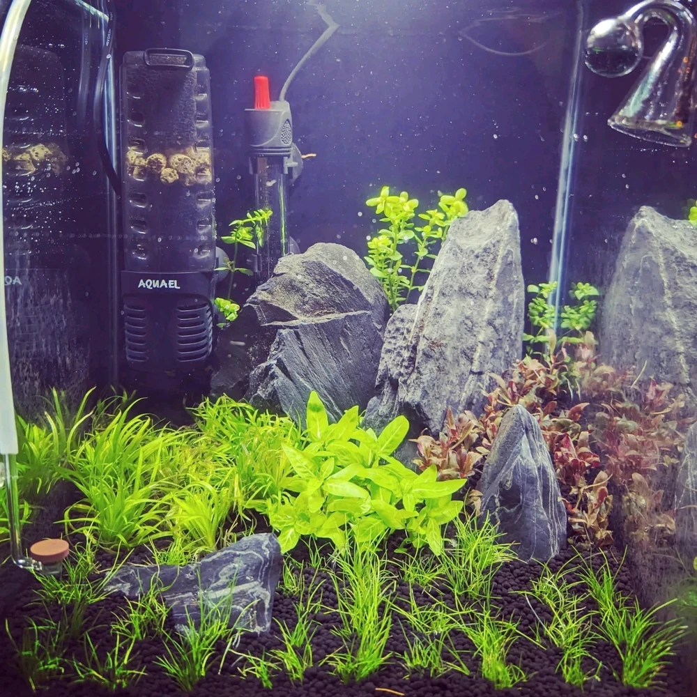 Image uploaded by Lee