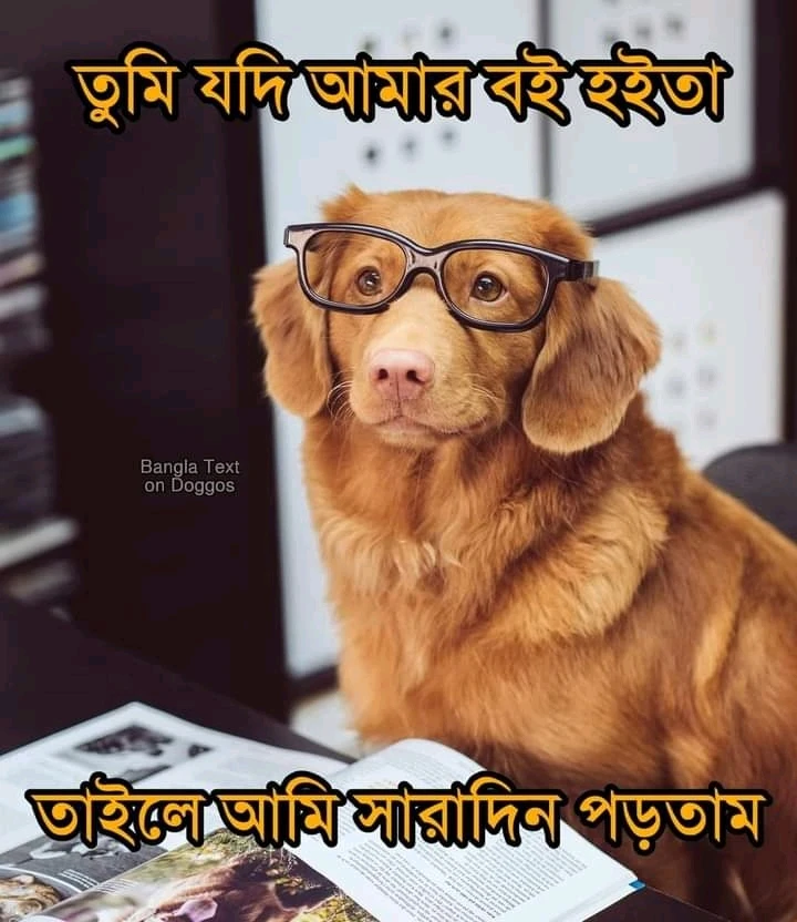 Aiman আপলোড করেছে