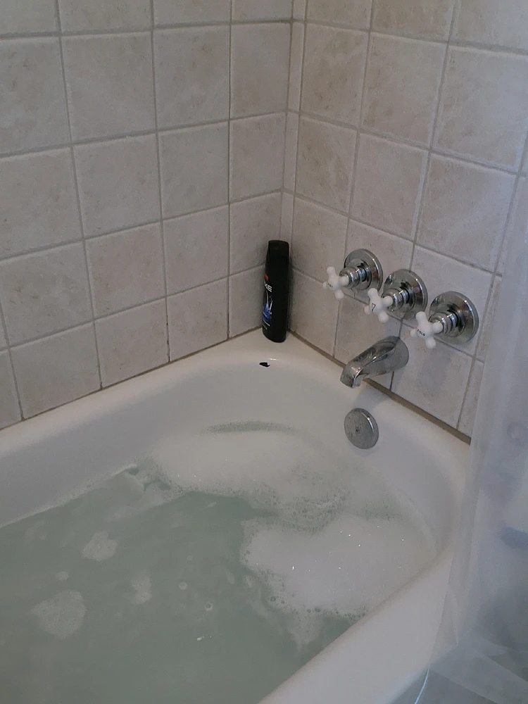 Image uploaded by Cooper