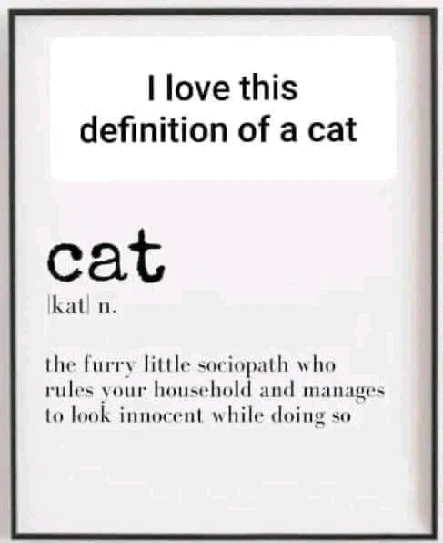 Image uploaded by Dee