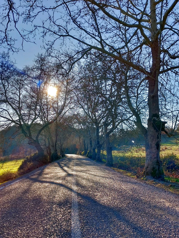 Image uploaded by Mert