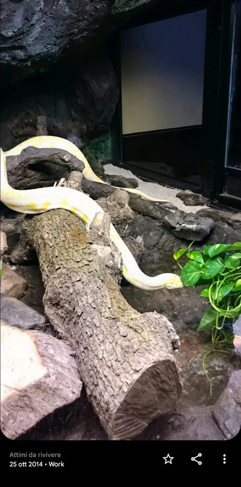 Immagine caricata da Kim