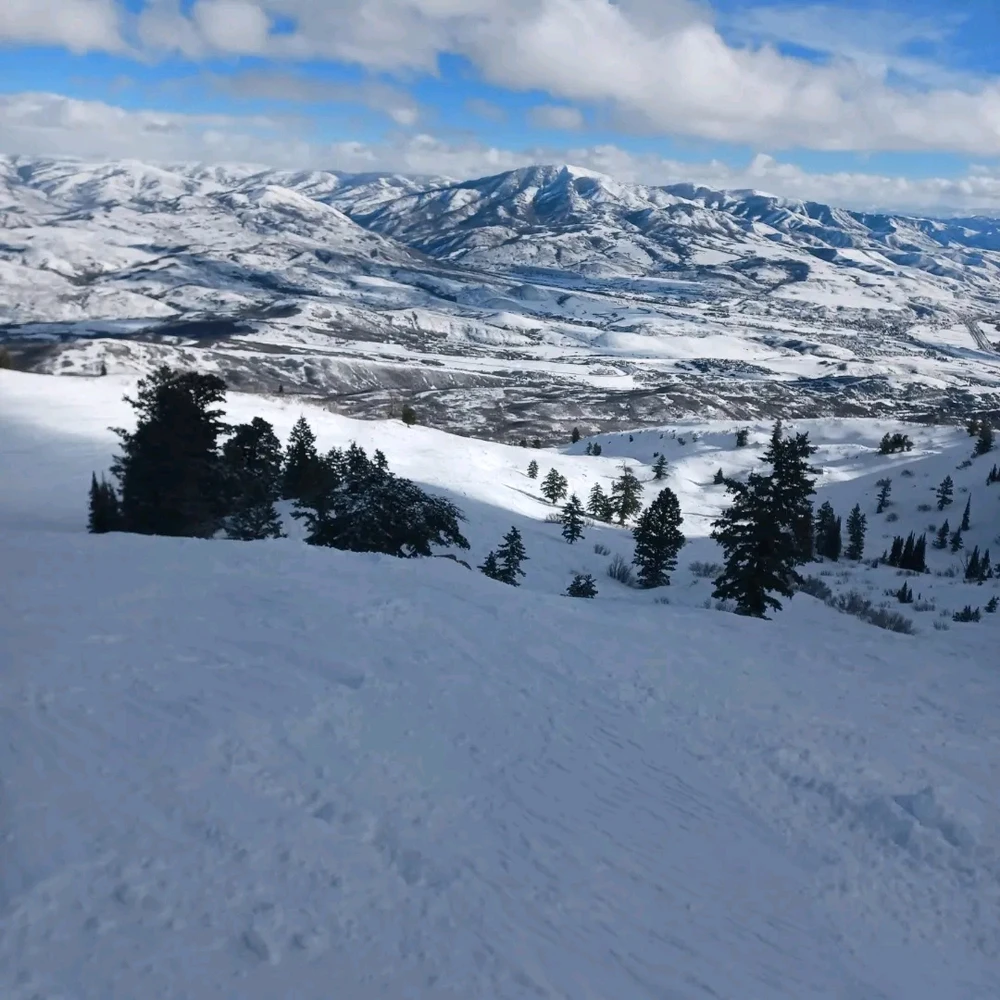 Image uploaded by Tjark