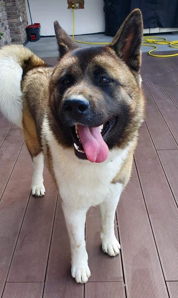 Image uploaded by Mimi