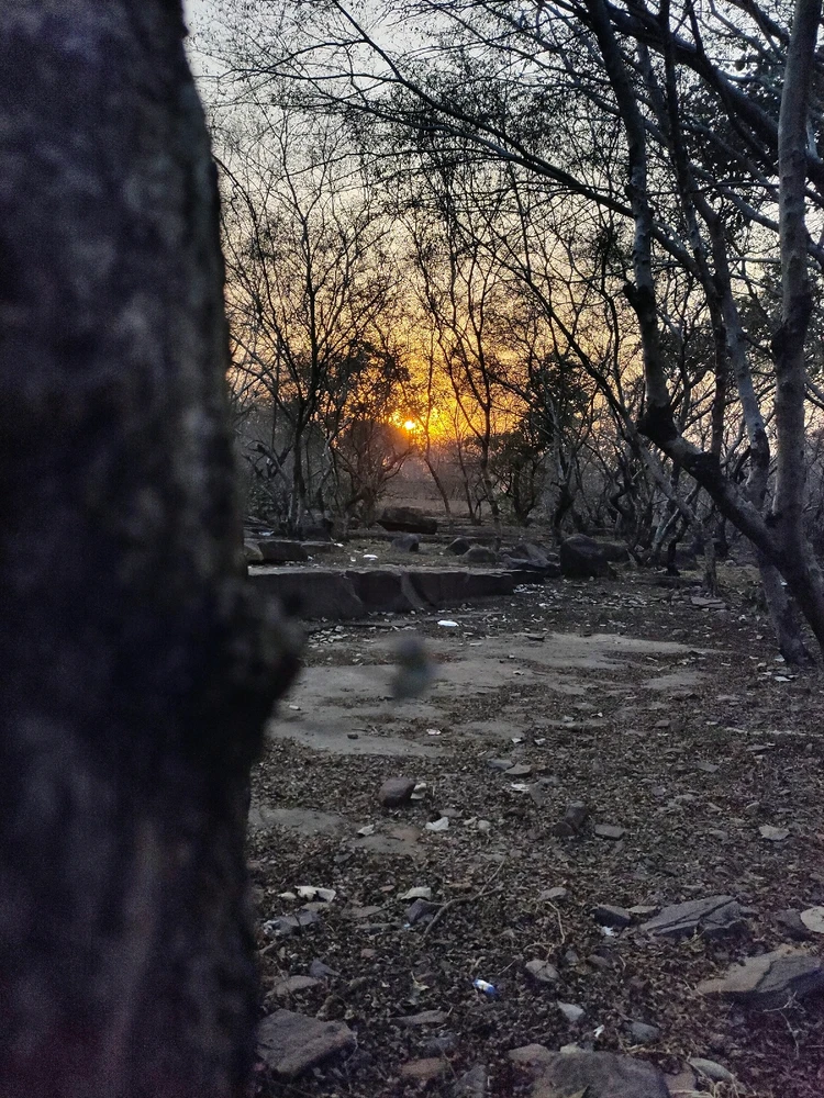 Image uploaded by Rahul
