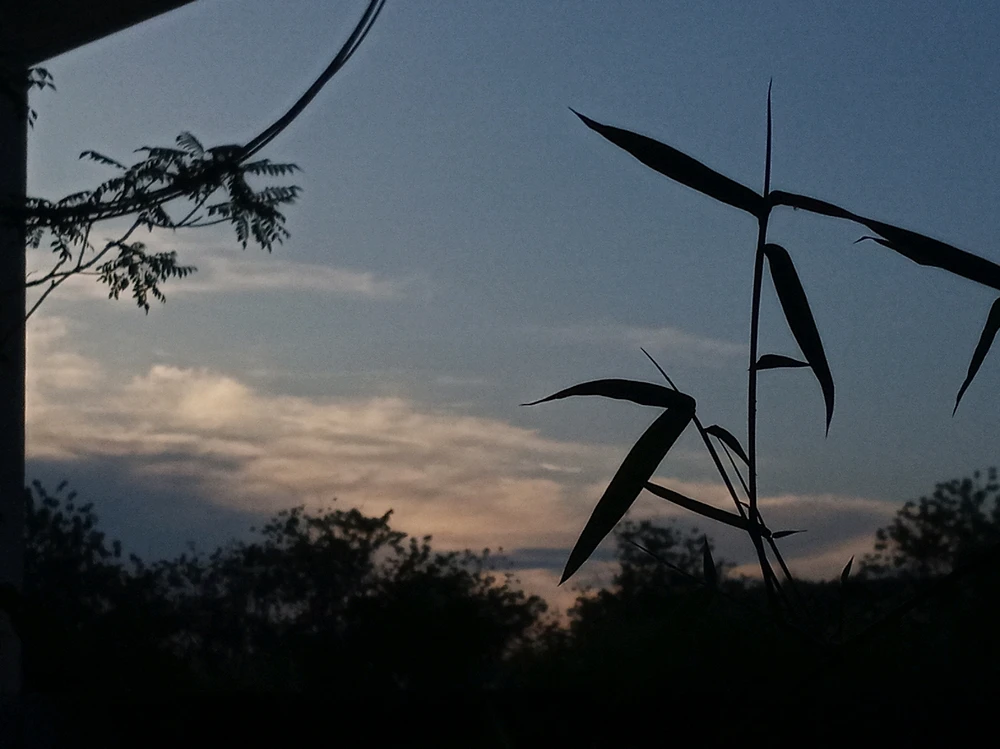 Image uploaded by chifuyu