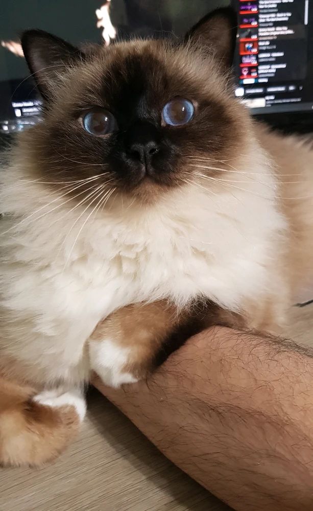 Image uploaded by 𝖅𝖊𝖗𝖔