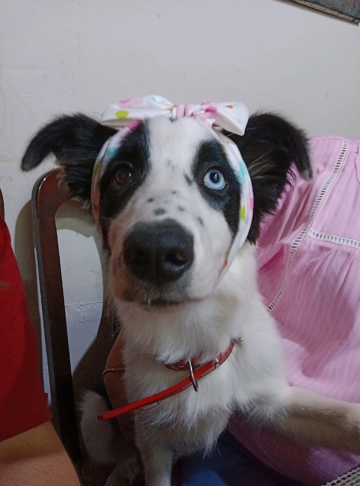 Imagen subida por Florencia