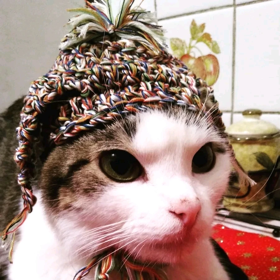 Imagen subida por Luna