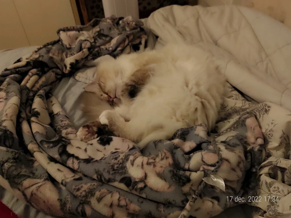 Image uploaded by Michelle