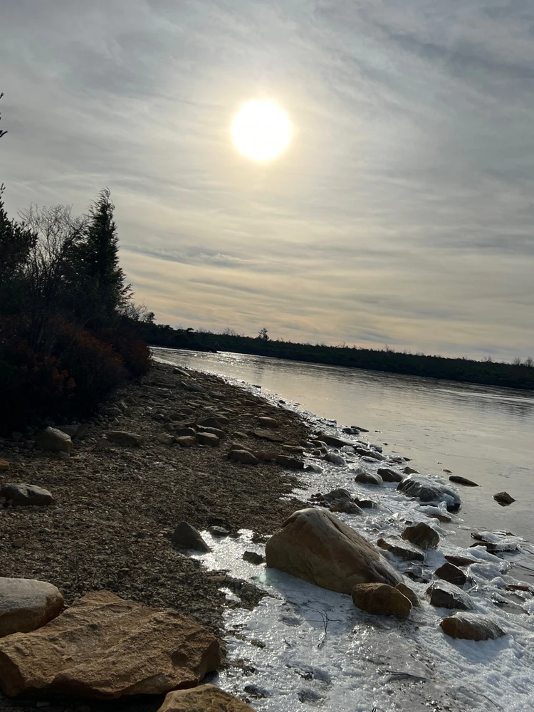 Image uploaded by Maximus