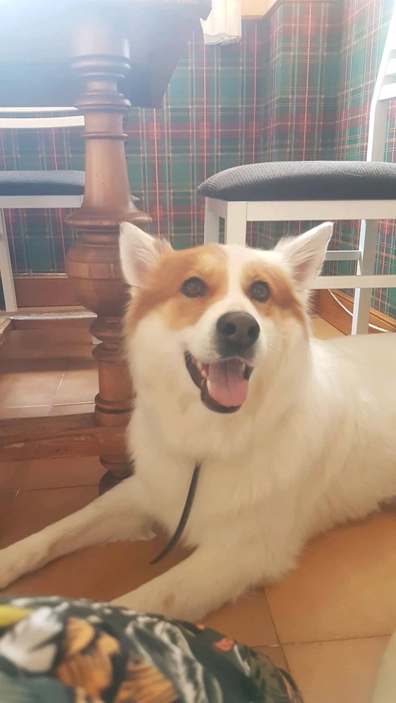 Image uploaded by Elena