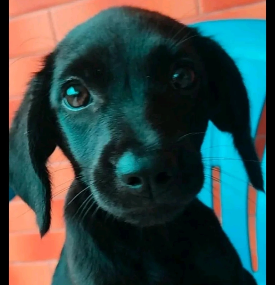 Imagem enviada por Marcelo