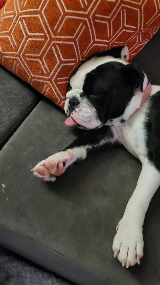 Image uploaded by Corey