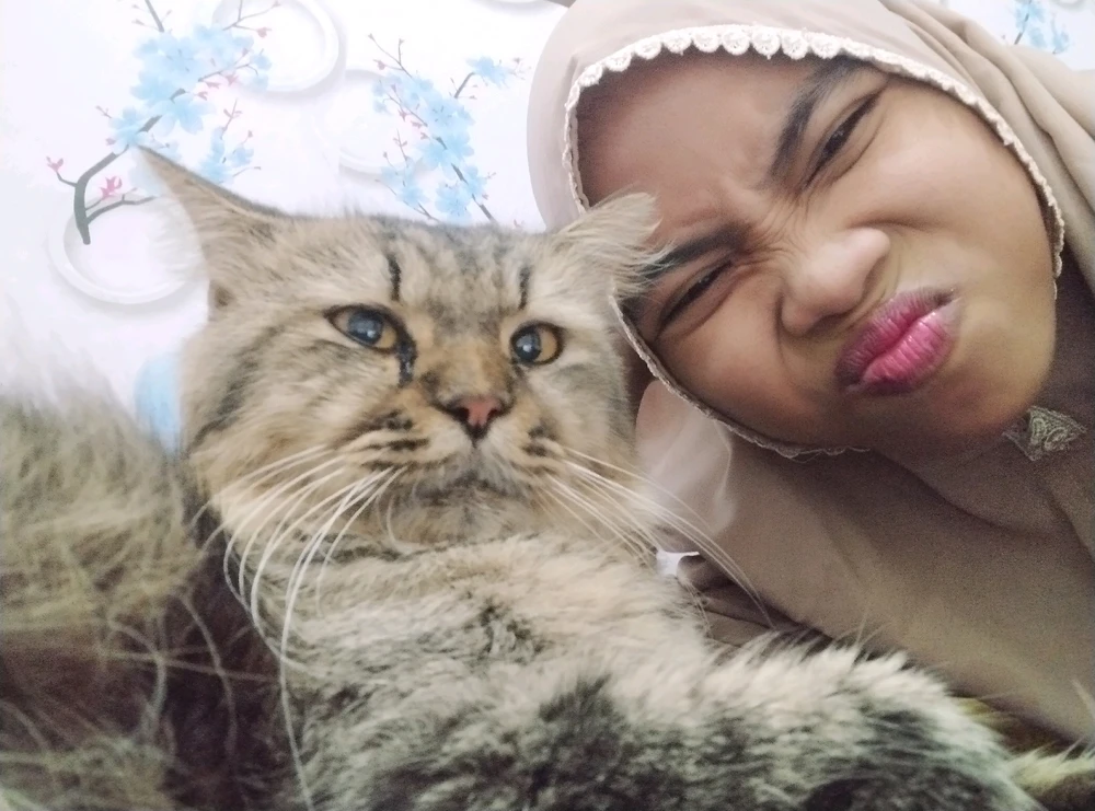 Image uploaded by Novi