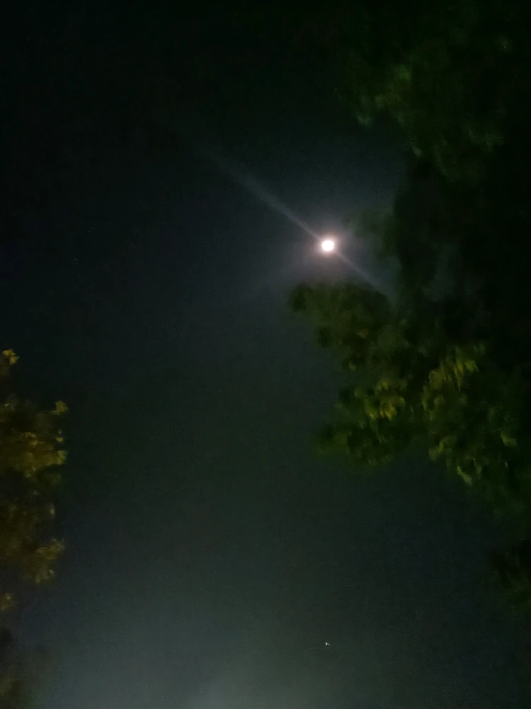 Image uploaded by Khushi Chauhan