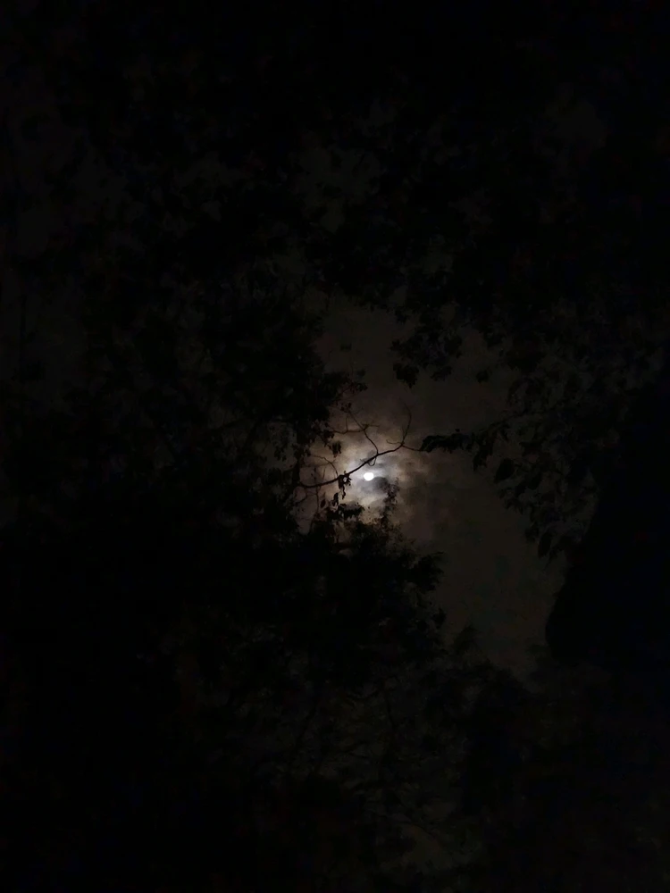 Image uploaded by Aayushree